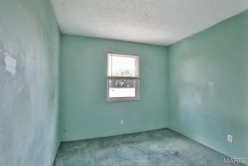 139 Condor Court #139, St Charles, MO 63303 — listing photo 18 of 36