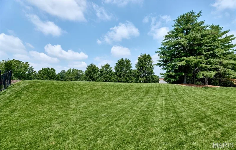 2323 Wellington Estates Drive, Chesterfield, MO 63017 — listing photo 68 of 70