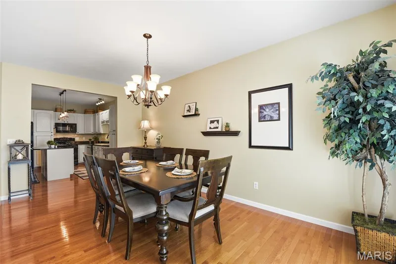 473 Angelique Place, St Charles, MO 63303 — listing photo 8 of 24