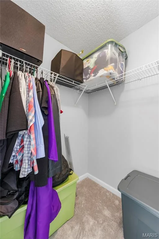 2703 Angle Gate Circle, O'Fallon, MO 63368 — listing photo 45 of 82