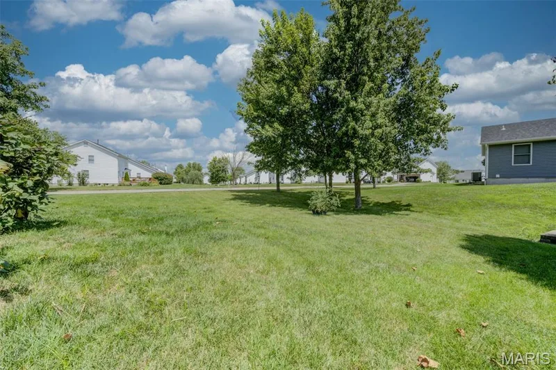 1236 Saint Matthew Avenue, O'Fallon, MO 63366 — listing photo 27 of 41