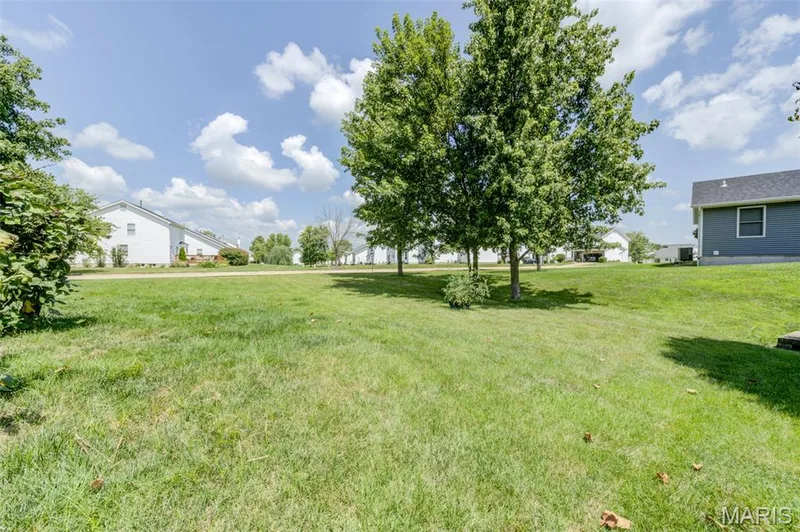 1236 Saint Matthew Avenue, O'Fallon, MO 63366 — listing photo 28 of 41