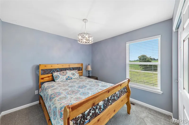 110 Riverfrost Court, O'Fallon, MO 63366 — listing photo 29 of 47