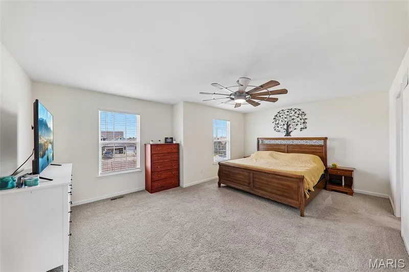 110 Riverfrost Court, O'Fallon, MO 63366 — listing photo 30 of 47