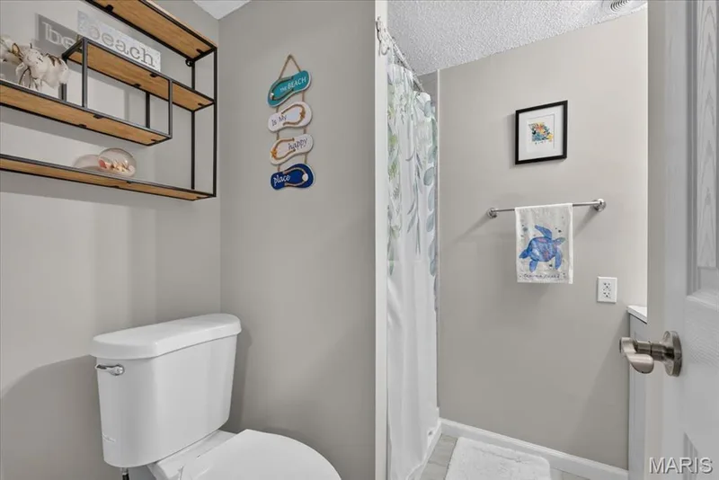 110 Barrington Drive, St Peters, MO 63376 — listing photo 36 of 46
