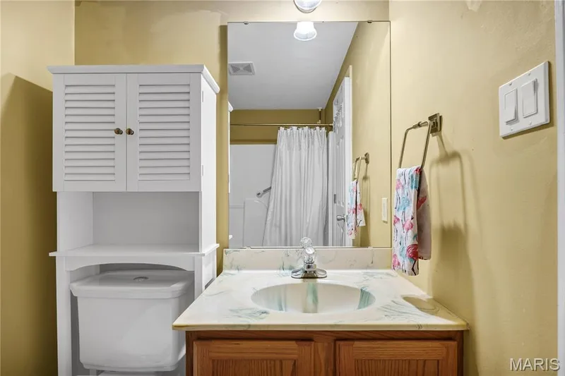 Lower level full bath — 2029 Chapel Hill Crossing, St Peters, MO 63376
