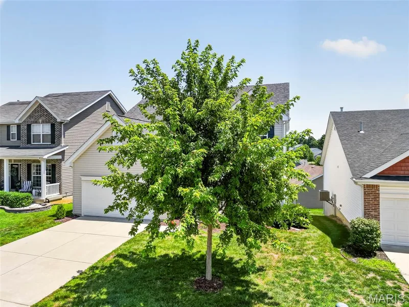 302 Pecan Bluffs Drive, Wentzville, MO 63385 — listing photo 58 of 63
