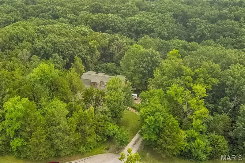 SO much trees on this 3.19 acres of land — 8 Whippoorwill Court, Defiance, MO 63341