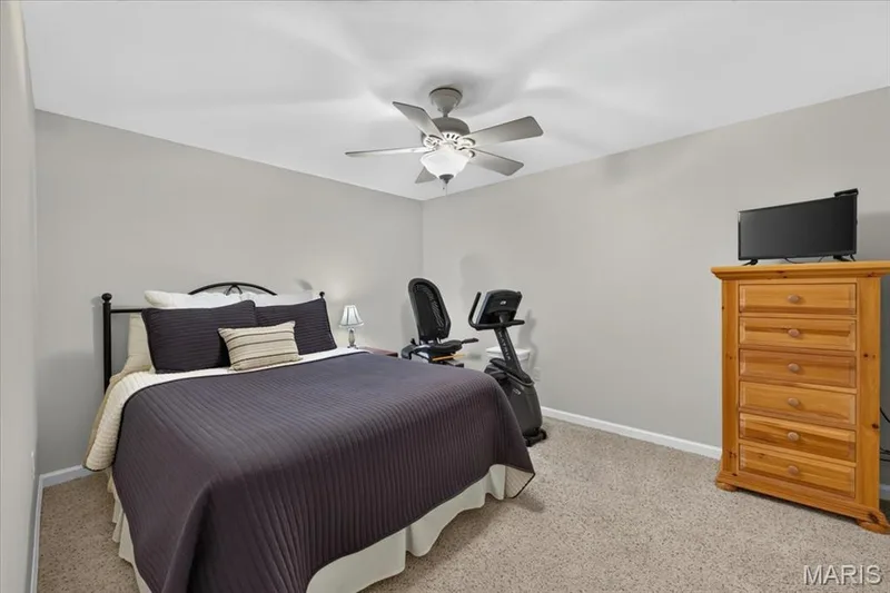 14814 Straub Hill Lane, Chesterfield, MO 63017 — listing photo 51 of 66