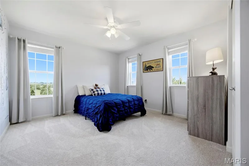 315 Fronterra Court, Cottleville, MO 63376 — listing photo 20 of 42