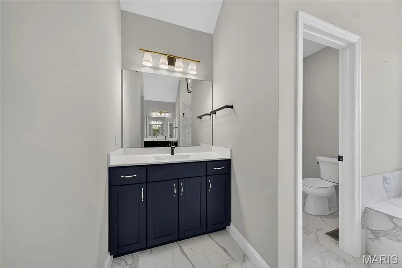 3 Warchol Court, O'Fallon, MO 63368 — listing photo 29 of 56