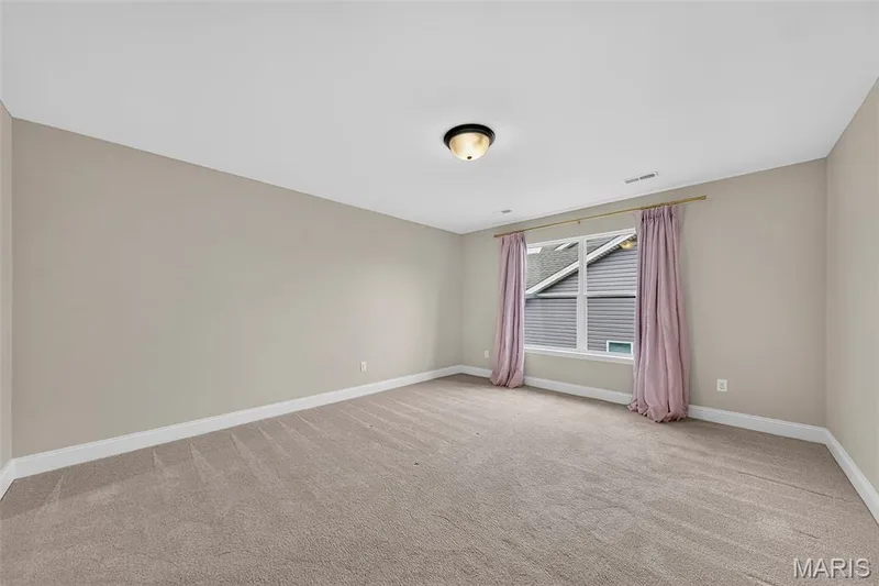 3 Warchol Court, O'Fallon, MO 63368 — listing photo 38 of 56