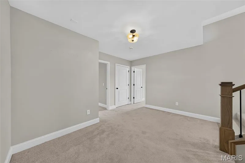 3 Warchol Court, O'Fallon, MO 63368 — listing photo 40 of 56