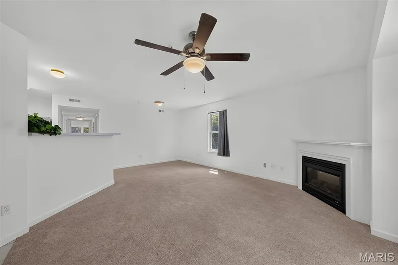 Electric fireplace, amazing windows. — 101 Timber Creek Drive, O'Fallon, MO 63368
