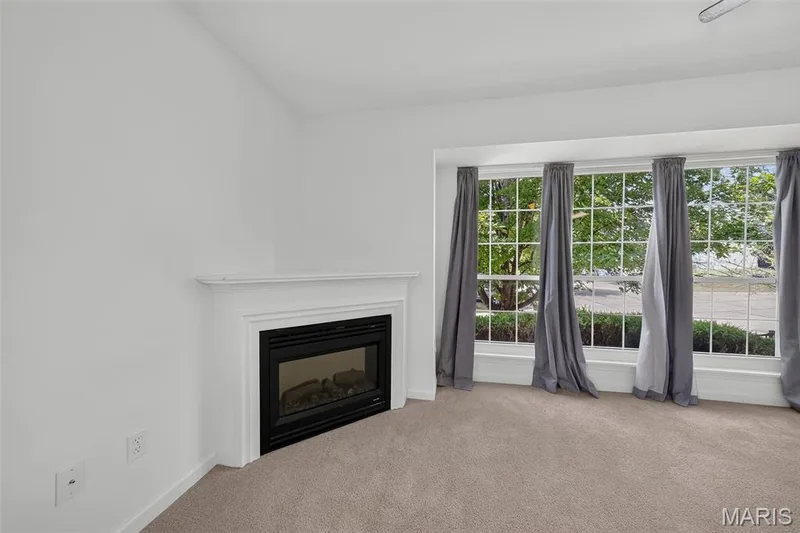 Electric fireplace, amazing windows. — 101 Timber Creek Drive, O'Fallon, MO 63368