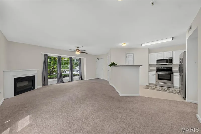 Electric fireplace, amazing windows. — 101 Timber Creek Drive, O'Fallon, MO 63368