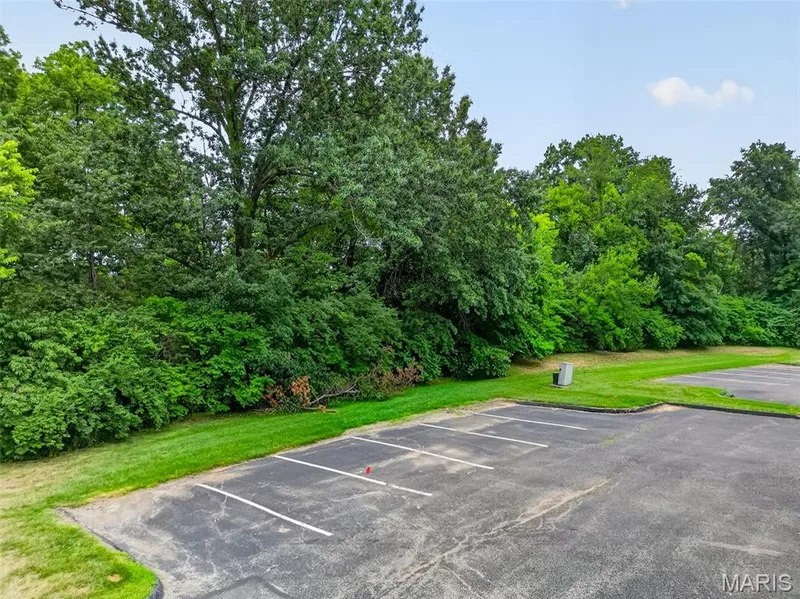 Extra parking in the rear. — 101 Timber Creek Drive, O'Fallon, MO 63368