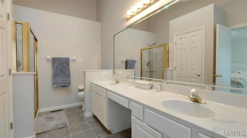 Luxury bathroom with skylight, double sink — 15234 Brightfield Manor Drive, Chesterfield, MO 63017