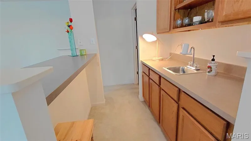 side view - Wet bar — 15234 Brightfield Manor Drive, Chesterfield, MO 63017