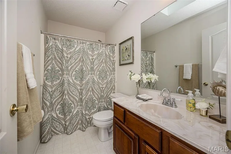 Hall Bath with Skylight — 14 Ludwigs Oak Court, St Charles, MO 63303