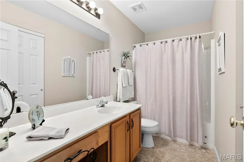 Hall bath — 8 Autumn Grove Court, O'Fallon, MO 63366