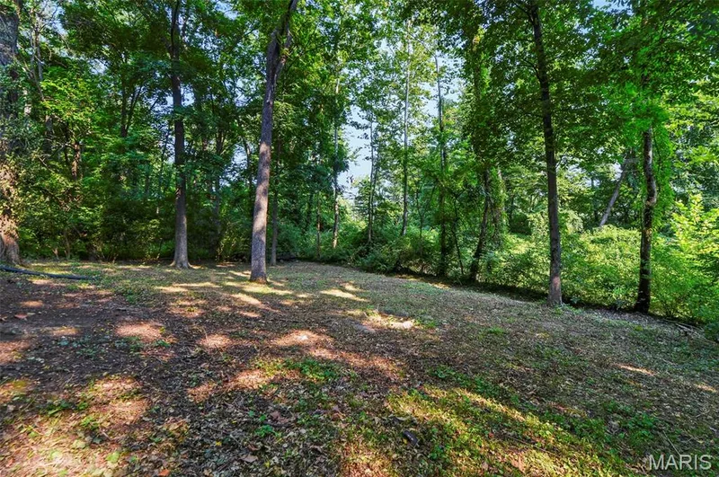11 Cadillac Court, Lake St. Louis, MO 63367 — listing photo 28 of 28