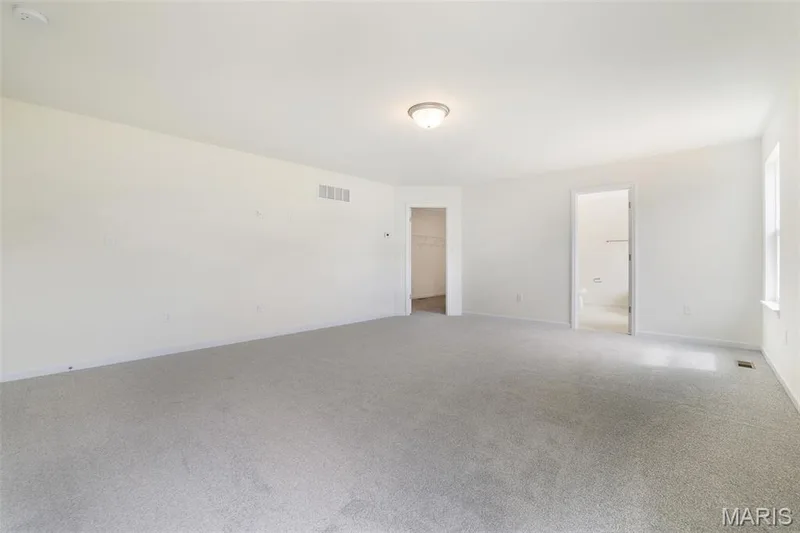 230 Windmill View Drive, O'Fallon, MO 63385 — listing photo 28 of 42