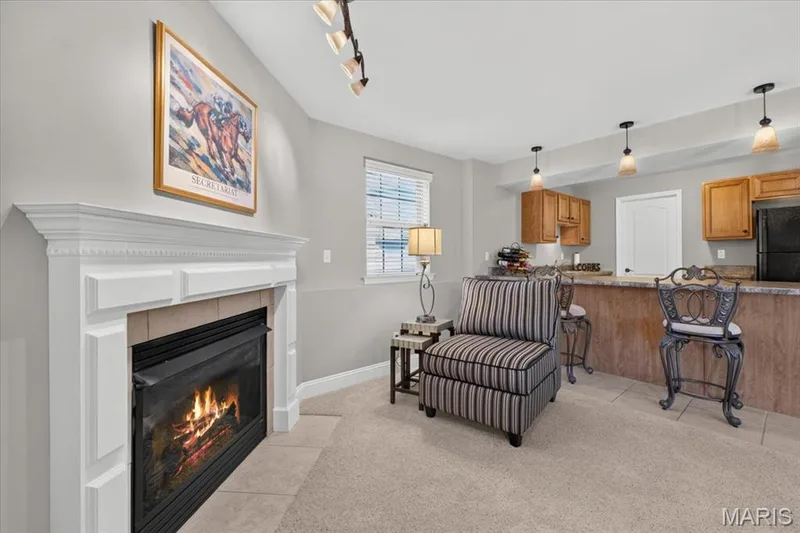 713 Bellingrath Gardens Court, Wentzville, MO 63385 — listing photo 49 of 80