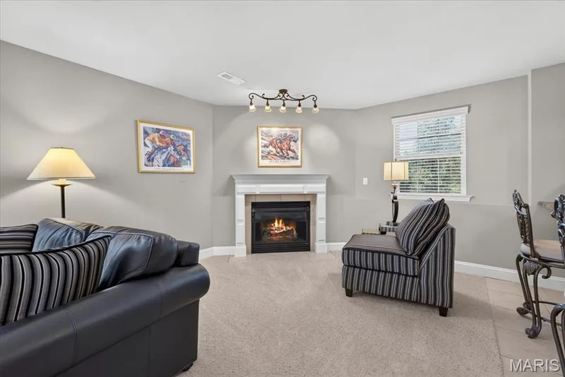 713 Bellingrath Gardens Court, Wentzville, MO 63385 — listing photo 51 of 80
