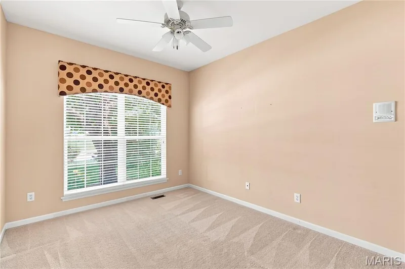 944 Daffodil Ridge Drive, O'Fallon, MO 63366 — listing photo 14 of 33