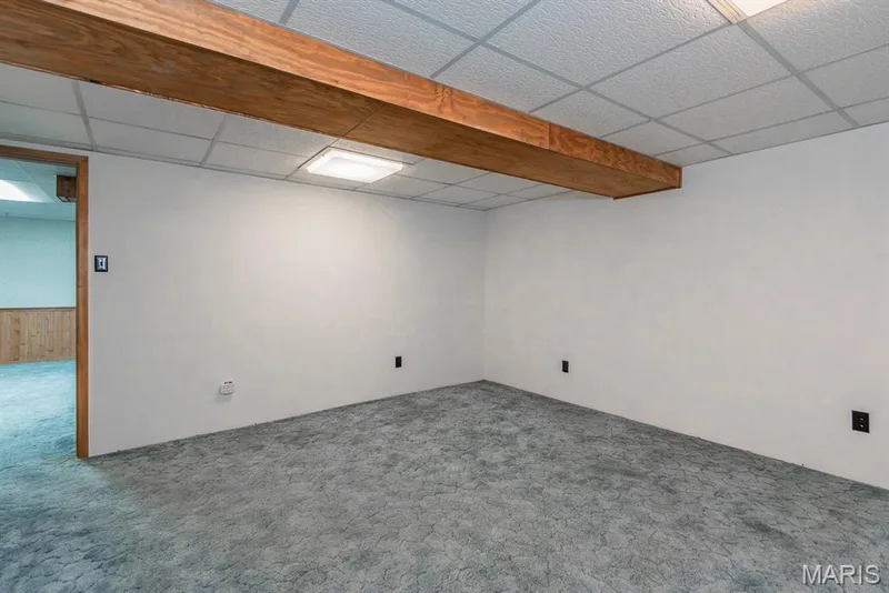 3 Thornway Court, St Peters, MO 63376 — listing photo 42 of 57