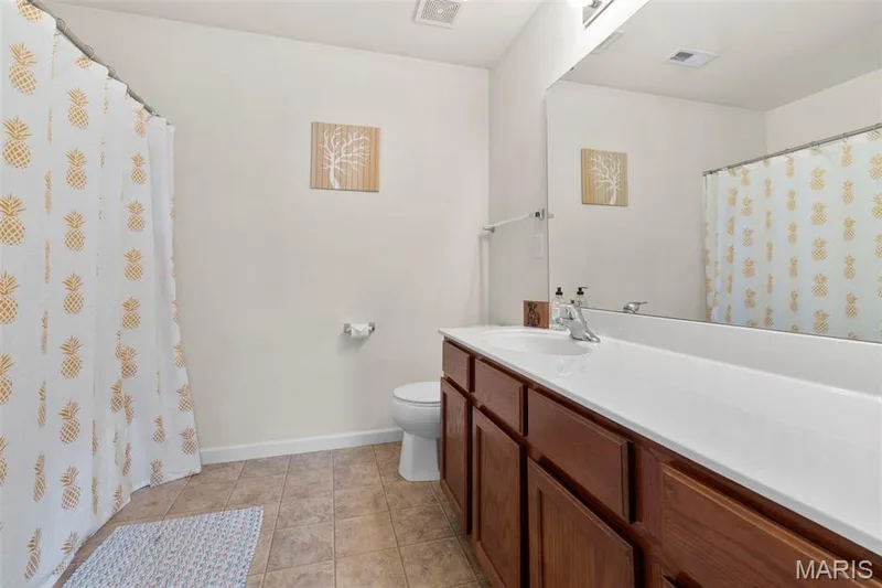 108 Wabash Spur Drive, O'Fallon, MO 63366 — listing photo 16 of 24