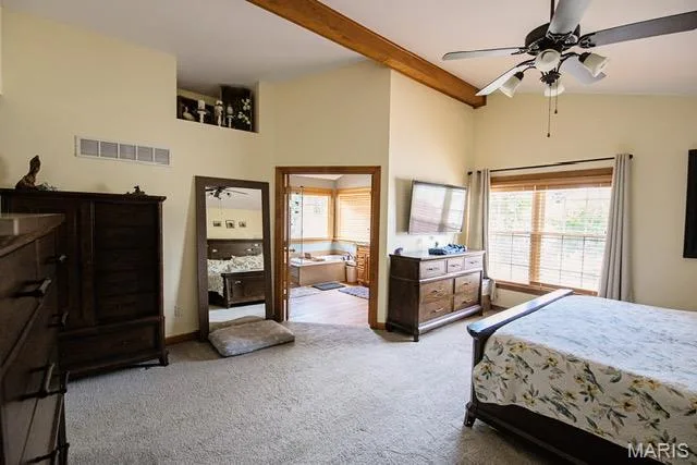 3 Savannah Court, St Peters, MO 63376 — listing photo 33 of 53