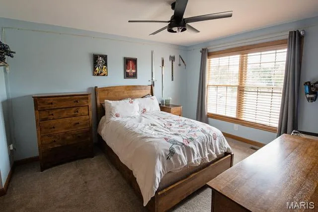 3 Savannah Court, St Peters, MO 63376 — listing photo 35 of 53
