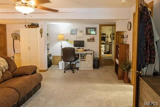 3 Savannah Court, St Peters, MO 63376 — listing photo 49 of 53