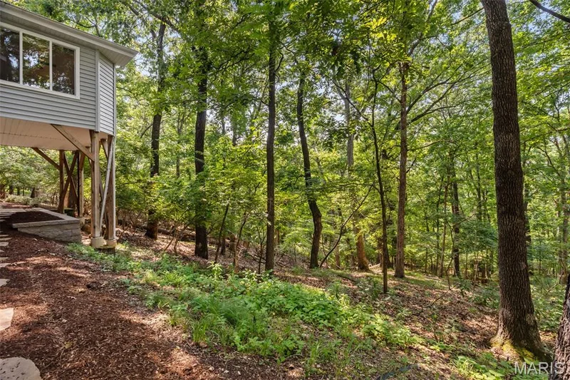 991 Sheffield Forest Court, Wildwood, MO 63021 — listing photo 53 of 62