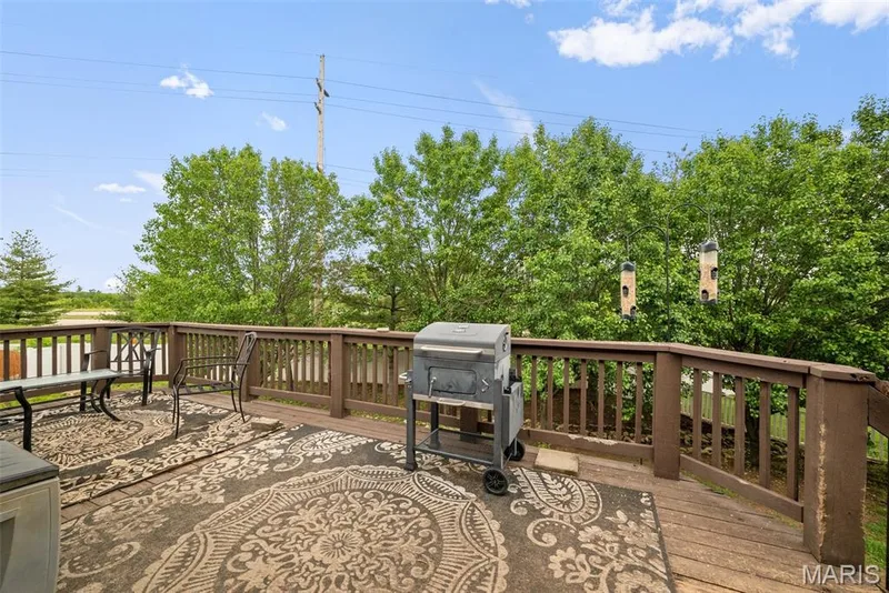 130 Wild Pigeon Ct, O'Fallon, MO 63368 — listing photo 28 of 54