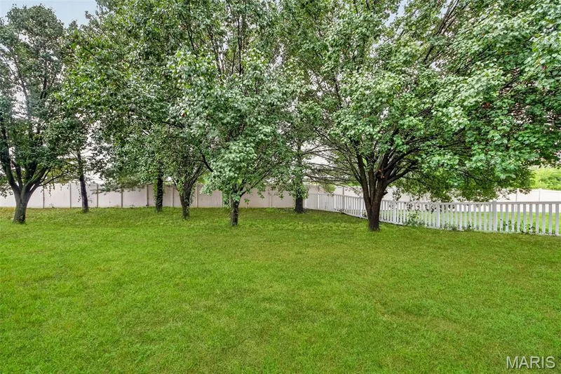 130 Wild Pigeon Ct, O'Fallon, MO 63368 — listing photo 51 of 54