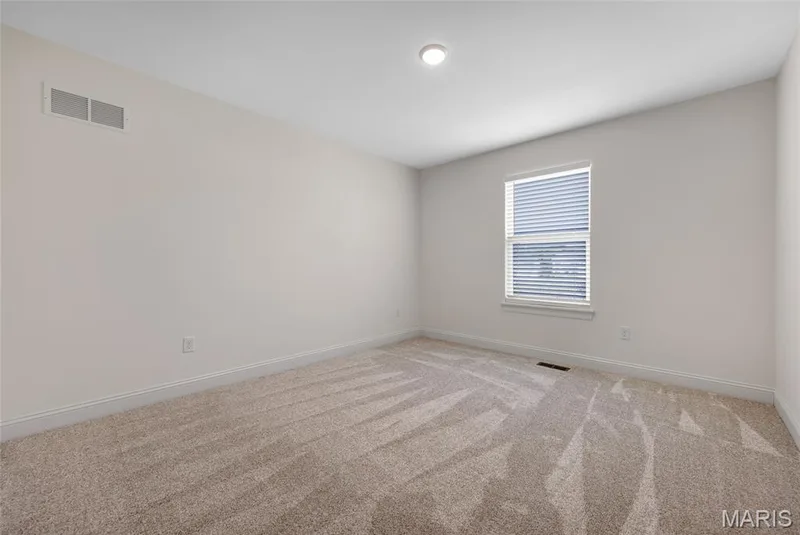 338 White Orchid Court, Wentzville, MO 63385 — listing photo 22 of 33