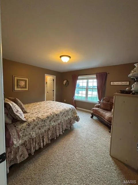 117 Fox Haven Drive, O'Fallon, MO 63368 — listing photo 27 of 39
