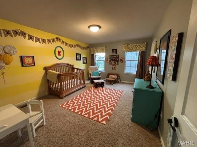117 Fox Haven Drive, O'Fallon, MO 63368 — listing photo 28 of 39