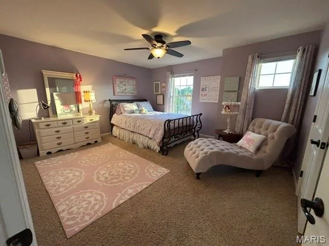 117 Fox Haven Drive, O'Fallon, MO 63368 — listing photo 30 of 39