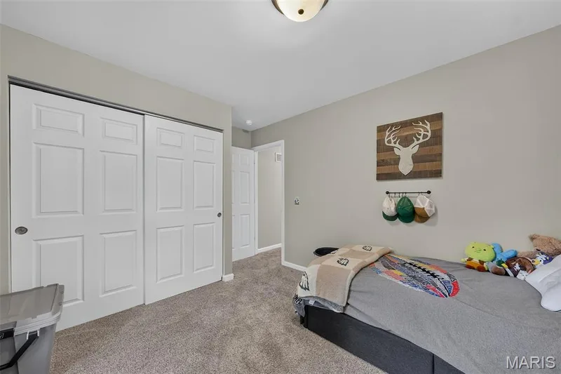 21 Dijon Court, Lake St. Louis, MO 63367 — listing photo 67 of 83