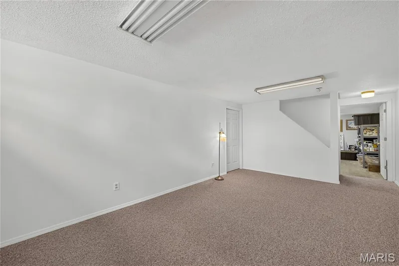 47 Park Place, St Peters, MO 63376 — listing photo 38 of 55