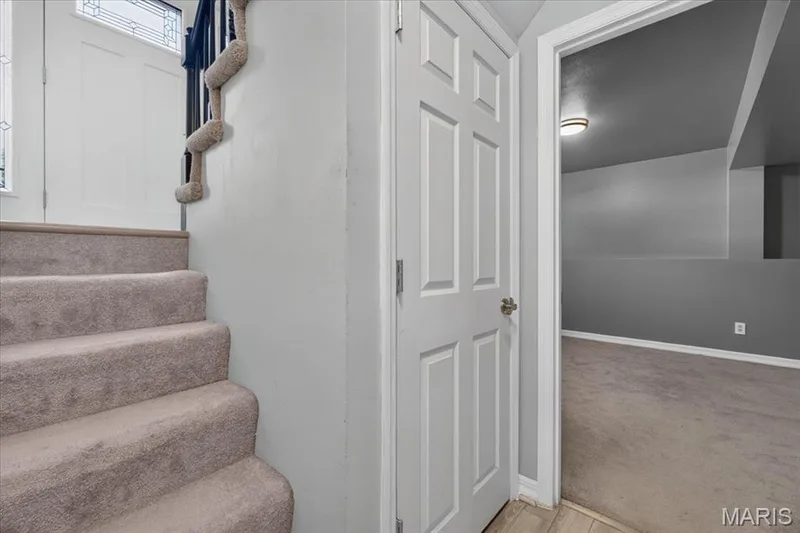 1629 Lynncove Lane, St Charles, MO 63303 — listing photo 22 of 37