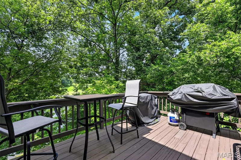 9 Lockhaven Court #9, Lake St. Louis, MO 63367 — listing photo 59 of 79
