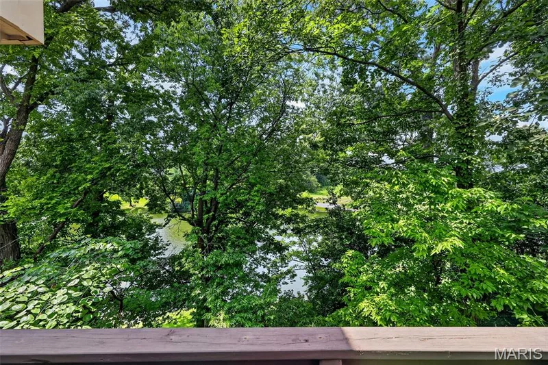 9 Lockhaven Court #9, Lake St. Louis, MO 63367 — listing photo 60 of 79