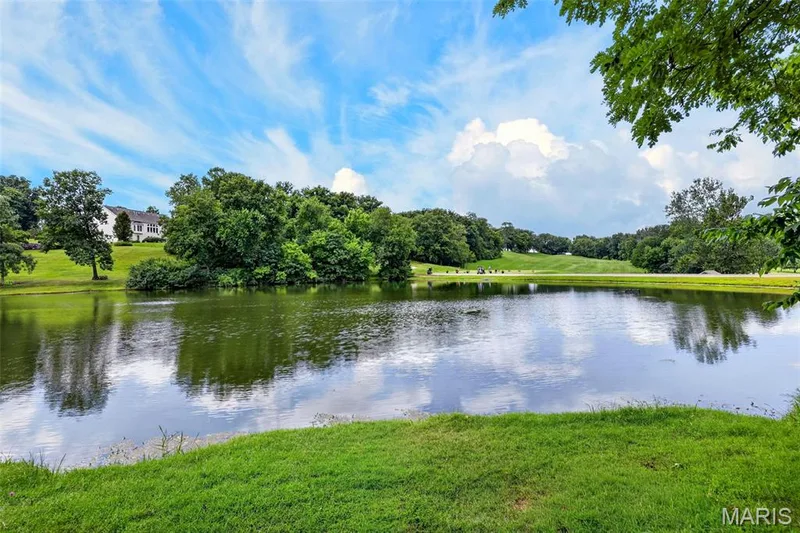 9 Lockhaven Court #9, Lake St. Louis, MO 63367 — listing photo 4 of 79
