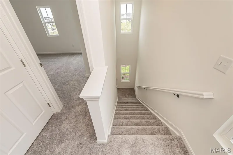 104 Mora Boulevard #445-501, O'Fallon, MO 63368 — listing photo 28 of 46