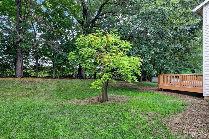 Expansive backyard featuring a wood deck with railing, mature trees, and a grassy lawn — 2947 Bromley Drive, O'Fallon, MO 63368